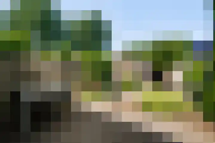 Ereprijs 32 Herkenbosch thumbnail 15