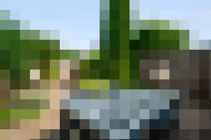 Ereprijs 32 Herkenbosch thumbnail 16