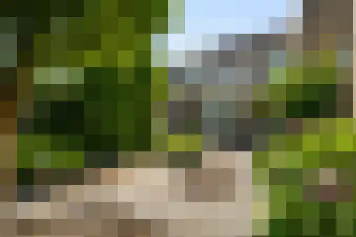 Ereprijs 32 Herkenbosch thumbnail 17