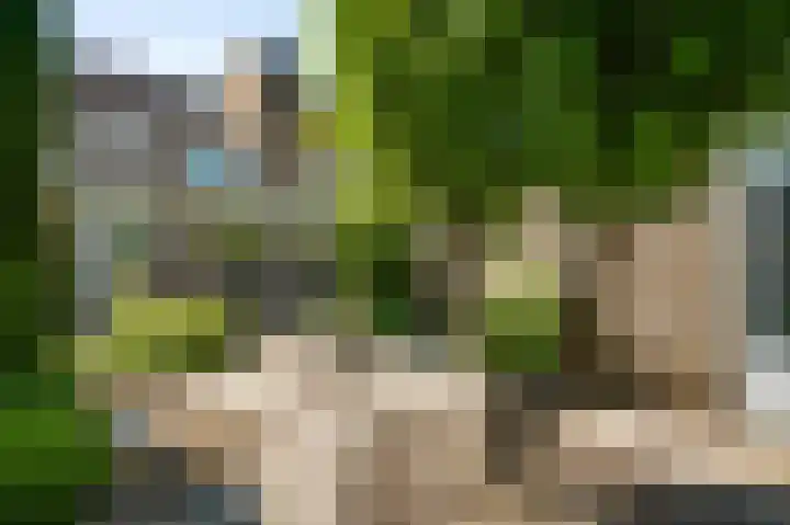 Ereprijs 32 Herkenbosch thumbnail 18