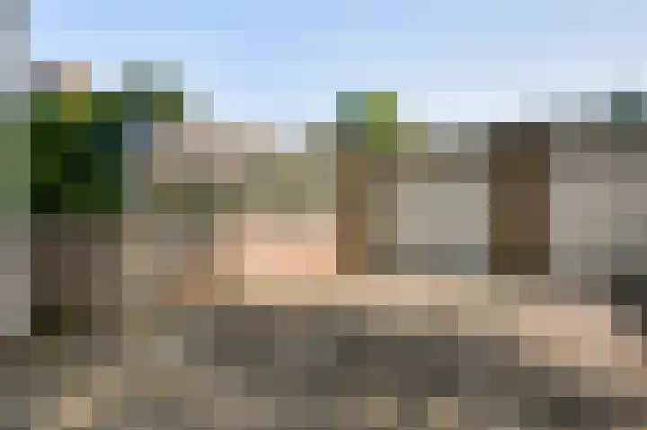 Ereprijs 32 Herkenbosch thumbnail 19