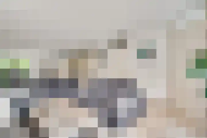Ereprijs 32 Herkenbosch thumbnail 5