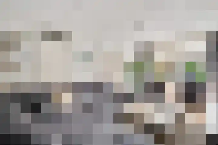 Ereprijs 32 Herkenbosch thumbnail 6