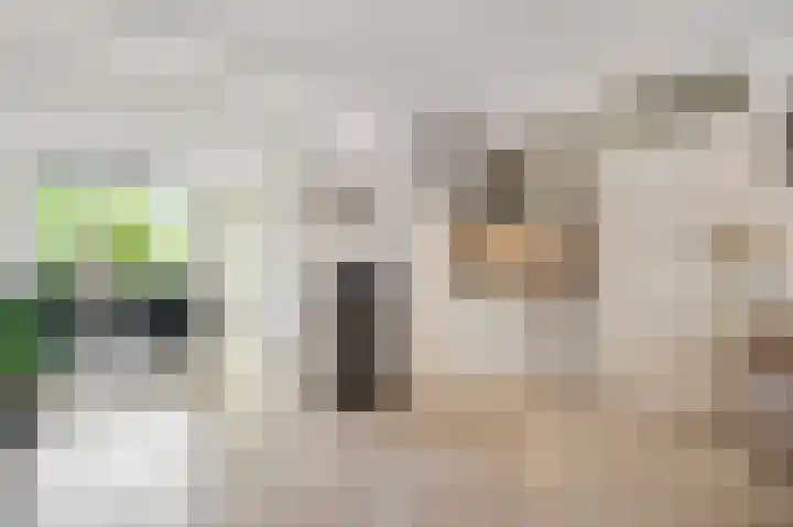 Ereprijs 32 Herkenbosch thumbnail 7