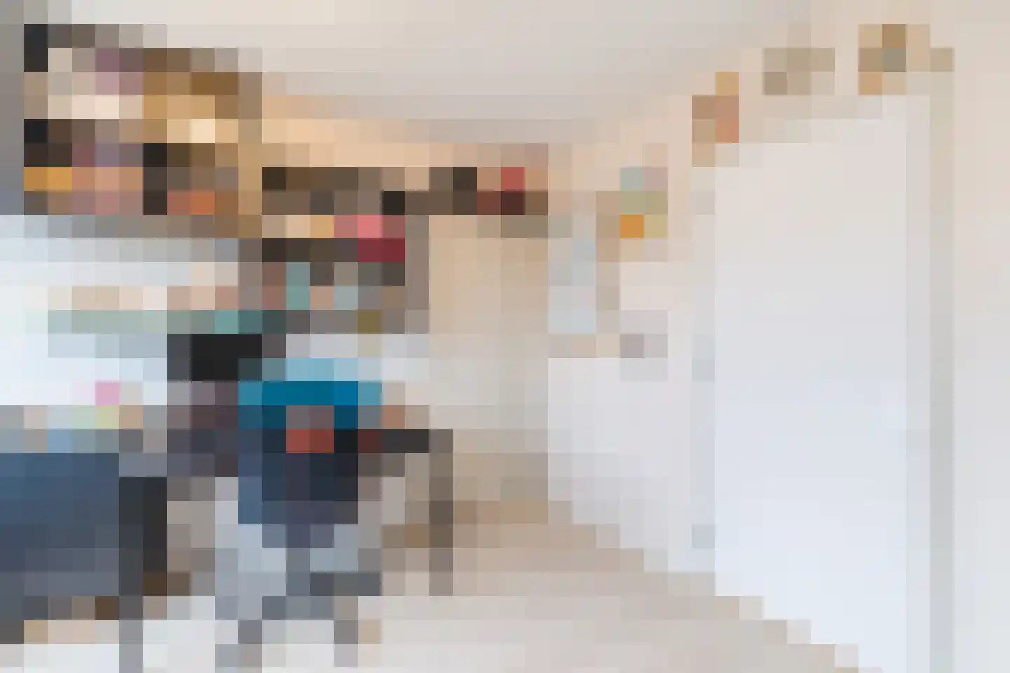 Ereprijs 32 Nieuwegein thumbnail 35