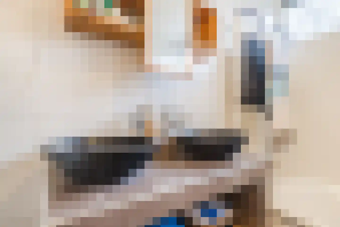 Ereprijs 32 Nieuwegein thumbnail 37