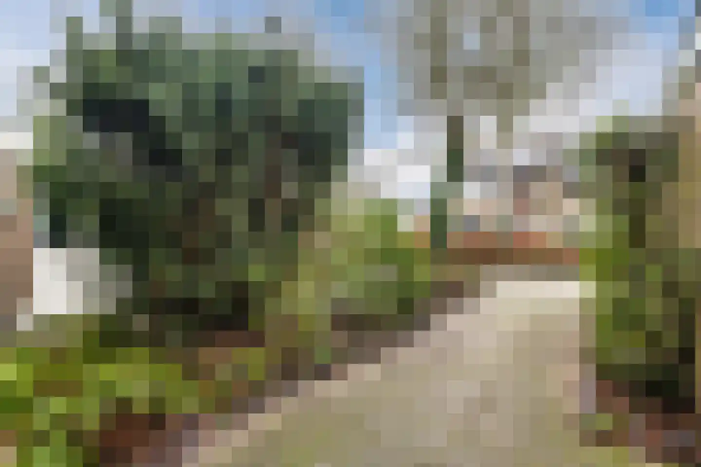 Ereprijs 32 Nieuwegein thumbnail 5