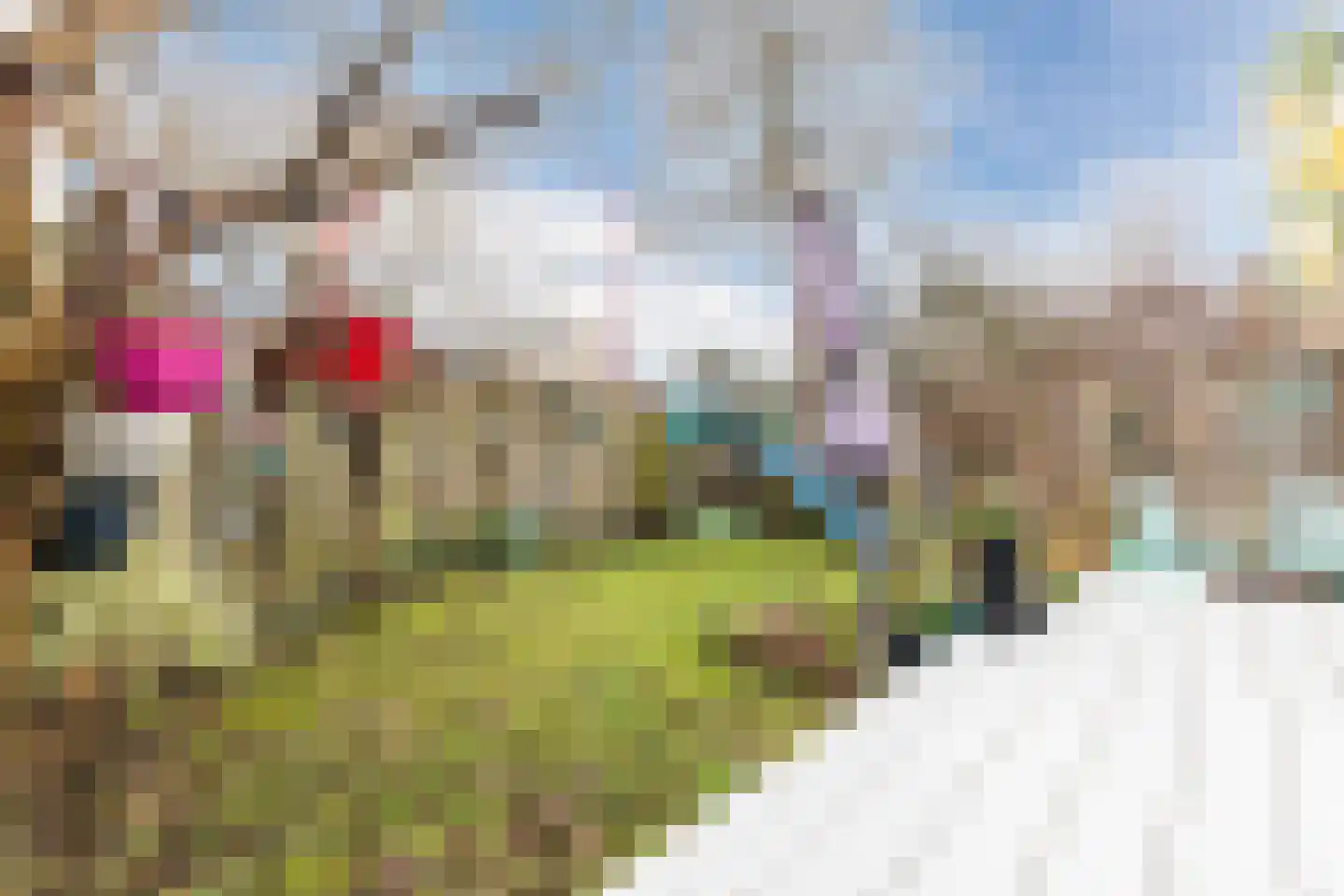 Ereprijs 32 Nieuwegein thumbnail 52