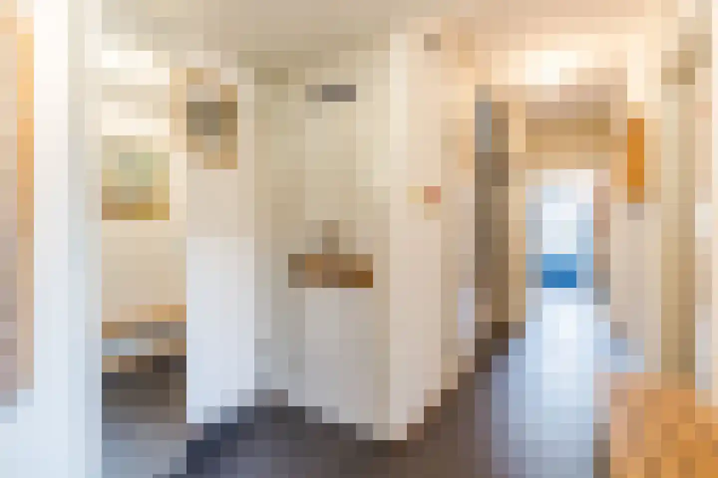 Ereprijs 32 Nieuwegein thumbnail 8