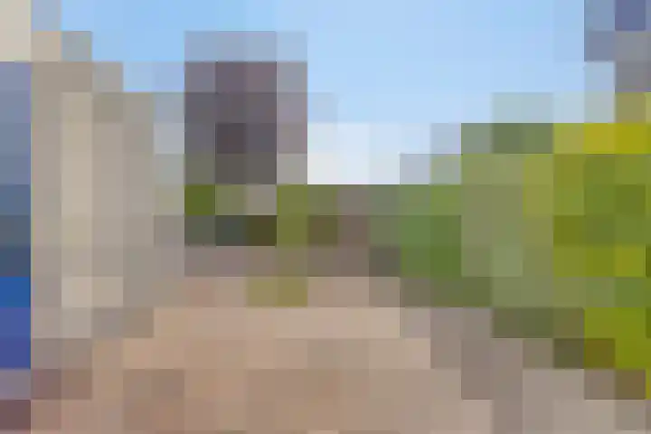 Ereprijs 38 Barneveld thumbnail 27