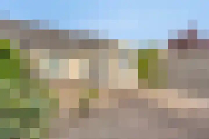 Ereprijs 38 Barneveld thumbnail 28