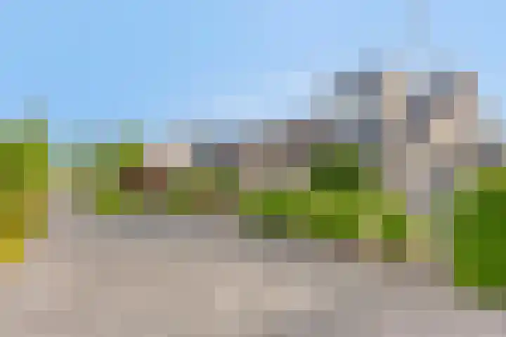 Ereprijs 38 Barneveld thumbnail 31