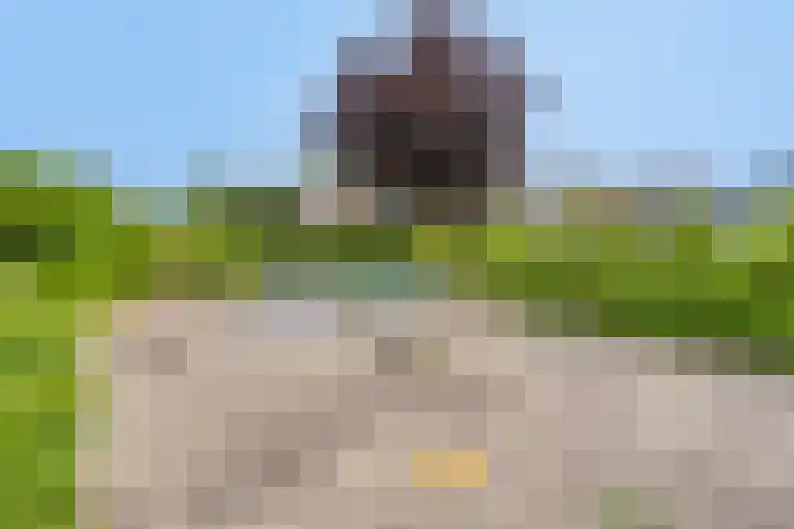 Ereprijs 38 Barneveld thumbnail 32