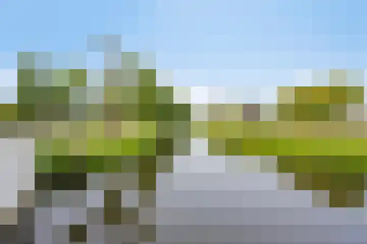 Ereprijs 38 Barneveld thumbnail 33