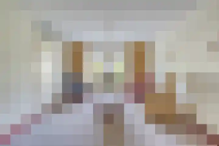 Ereprijs 38 Barneveld thumbnail 8