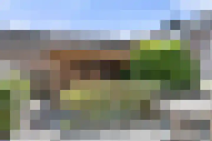 Ereprijs 45 Bennekom thumbnail 10