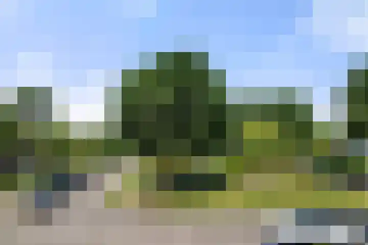 Ereprijs 45 Bennekom thumbnail 31