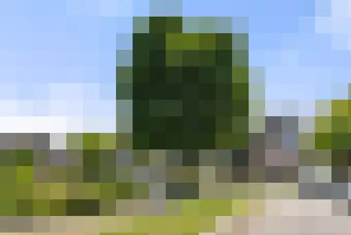 Ereprijs 45 Bennekom thumbnail 4