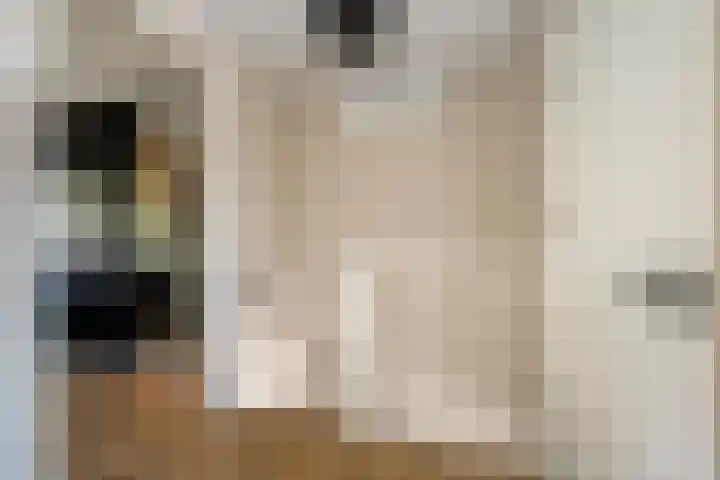Ereprijs 46 Schoonhoven thumbnail 13