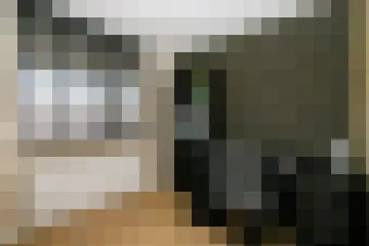 Ereprijs 46 Schoonhoven thumbnail 16