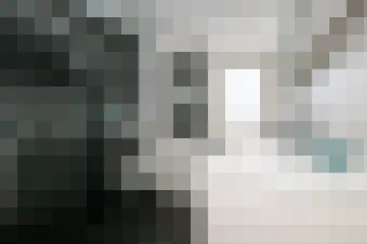 Ereprijs 46 Schoonhoven thumbnail 17