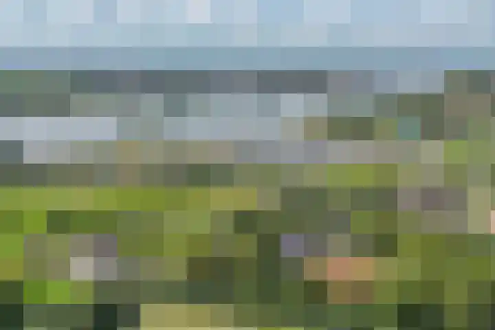 Ereprijs 46 Schoonhoven thumbnail 24