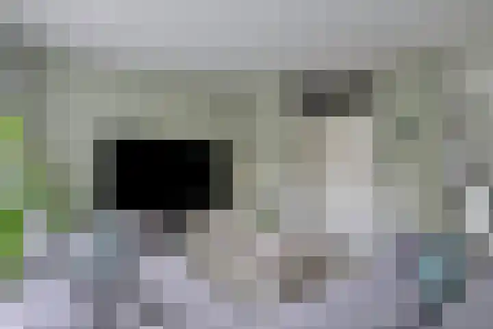 Ereprijs 47 Heerenveen thumbnail 11