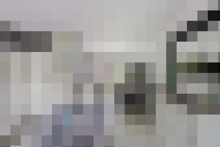 Ereprijs 47 Heerenveen thumbnail 12