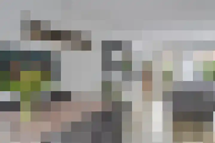 Ereprijs 47 Heerenveen thumbnail 14