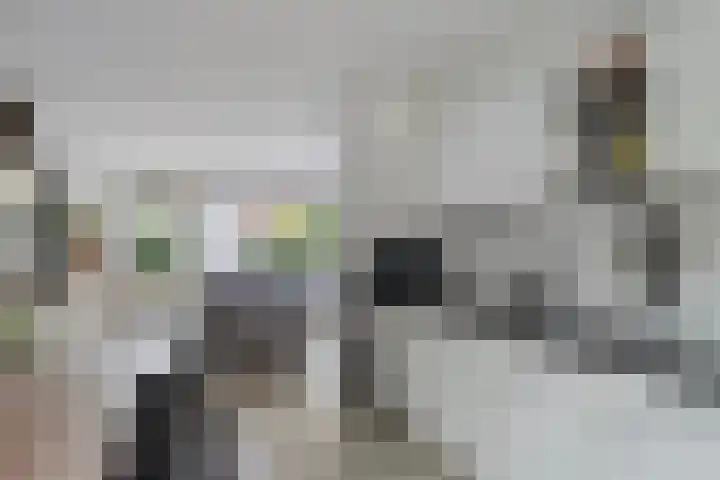 Ereprijs 47 Heerenveen thumbnail 15