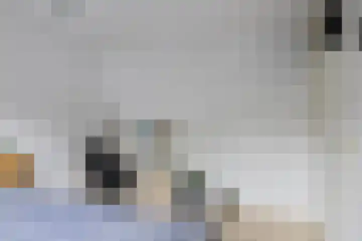 Ereprijs 47 Heerenveen thumbnail 22