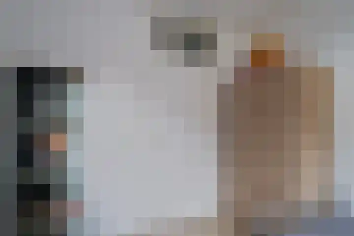 Ereprijs 47 Heerenveen thumbnail 24