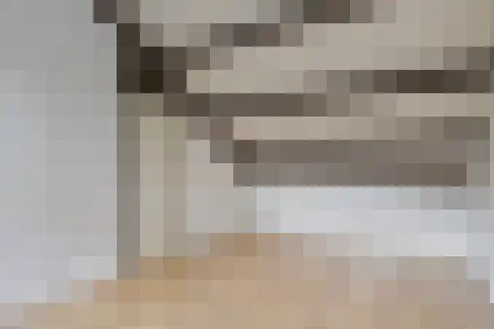 Ereprijs 47 Heerenveen thumbnail 27