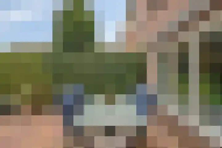 Ereprijs 47 Heerenveen thumbnail 29