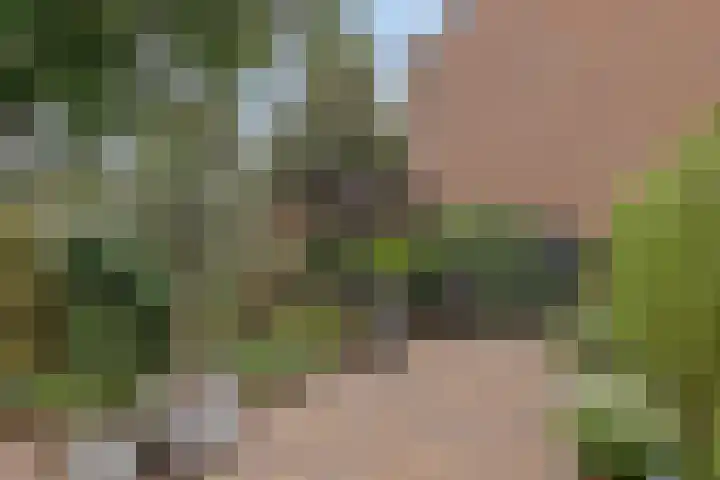 Ereprijs 47 Heerenveen thumbnail 30