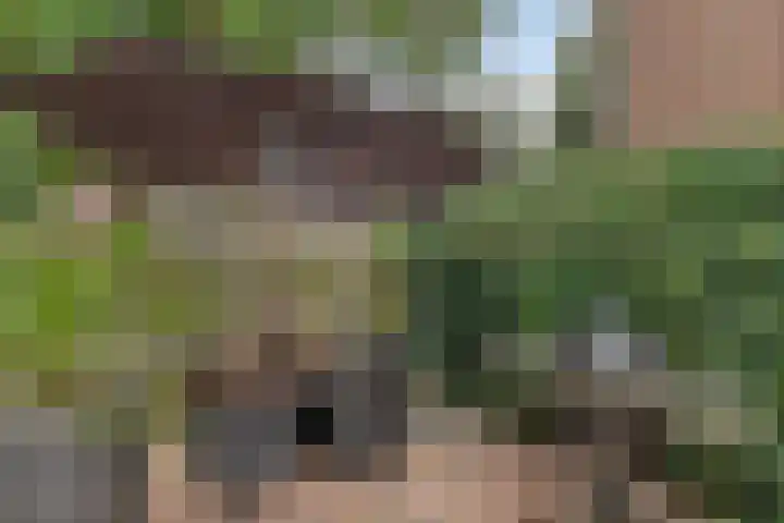 Ereprijs 47 Heerenveen thumbnail 31