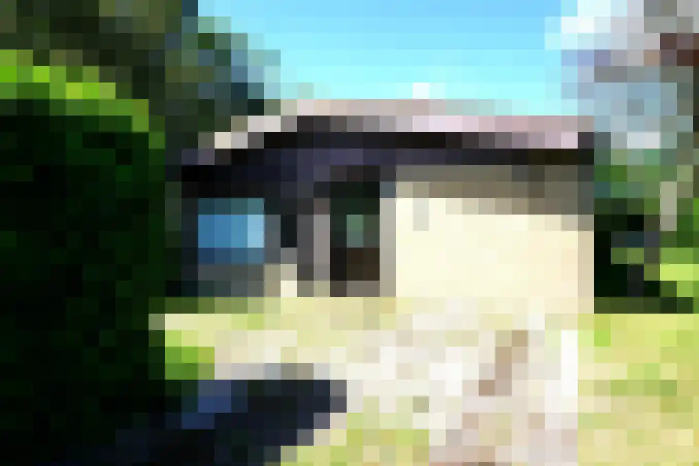 Ereprijs 5 Julianadorp thumbnail 16