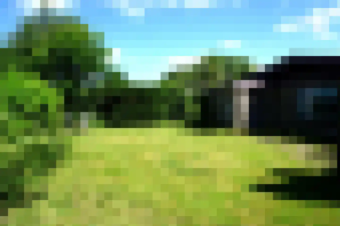 Ereprijs 5 Julianadorp thumbnail 21