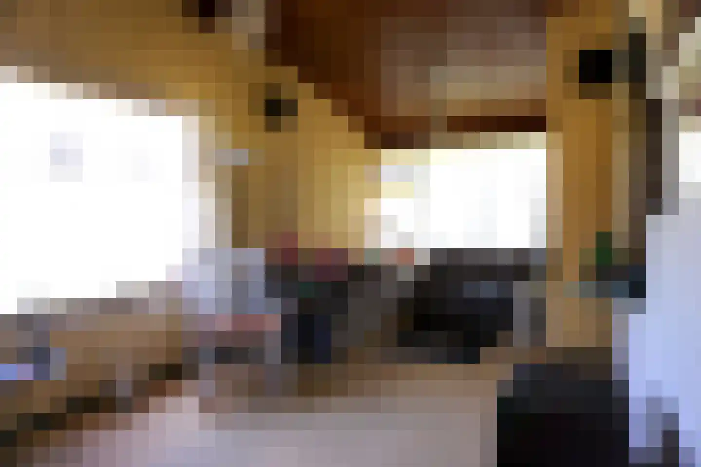 Ereprijs 5 Julianadorp thumbnail 4
