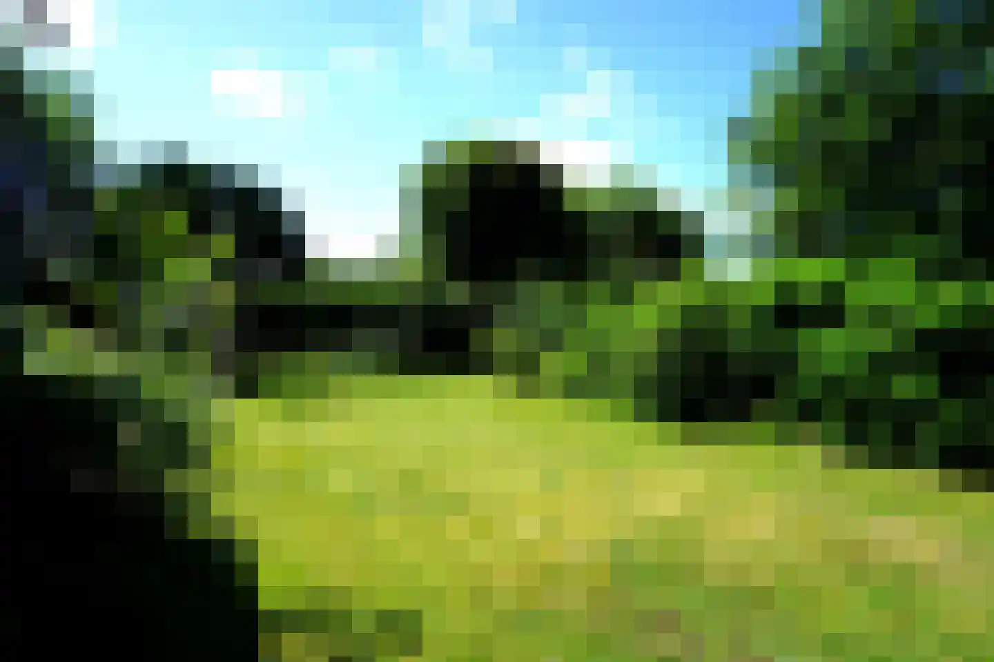 Ereprijs 5 Julianadorp thumbnail 5