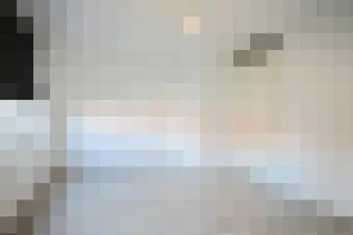 Ereprijs 5 Sittard thumbnail 21