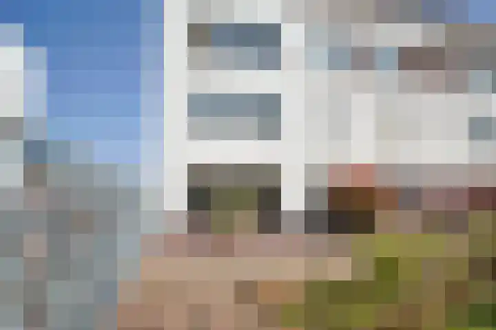 Ereprijs 5 Sittard thumbnail 9