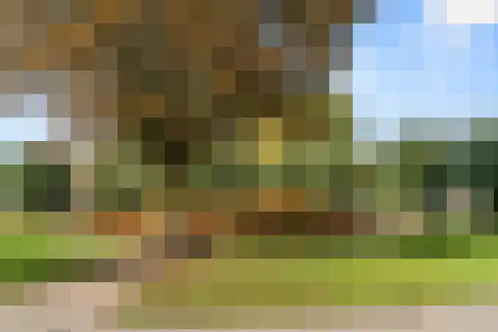 Ereprijs 53 Bennekom thumbnail 6