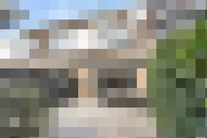 Ereprijs 53 Bennekom thumbnail 8