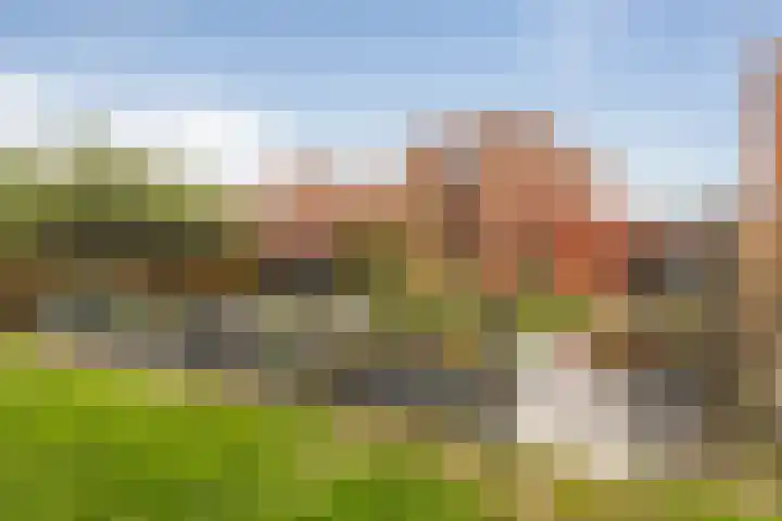 Ereprijs 53 Sittard thumbnail 28
