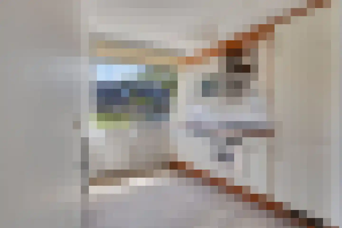 Ereprijs 55 Huizen thumbnail 13