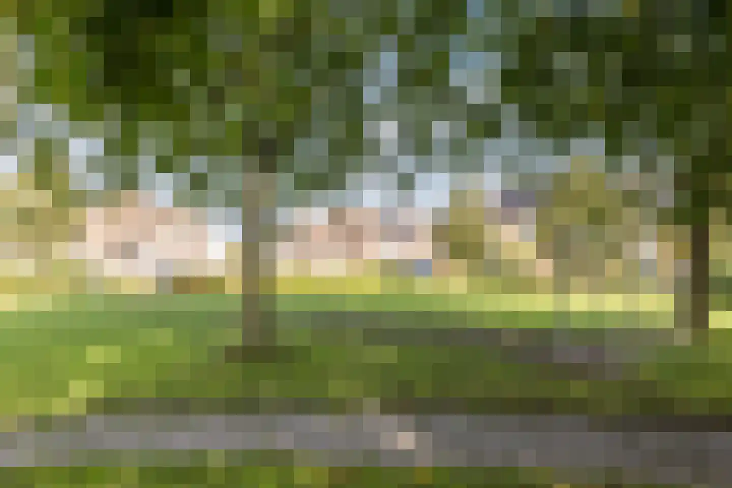Ereprijs 56 Werkendam thumbnail 32