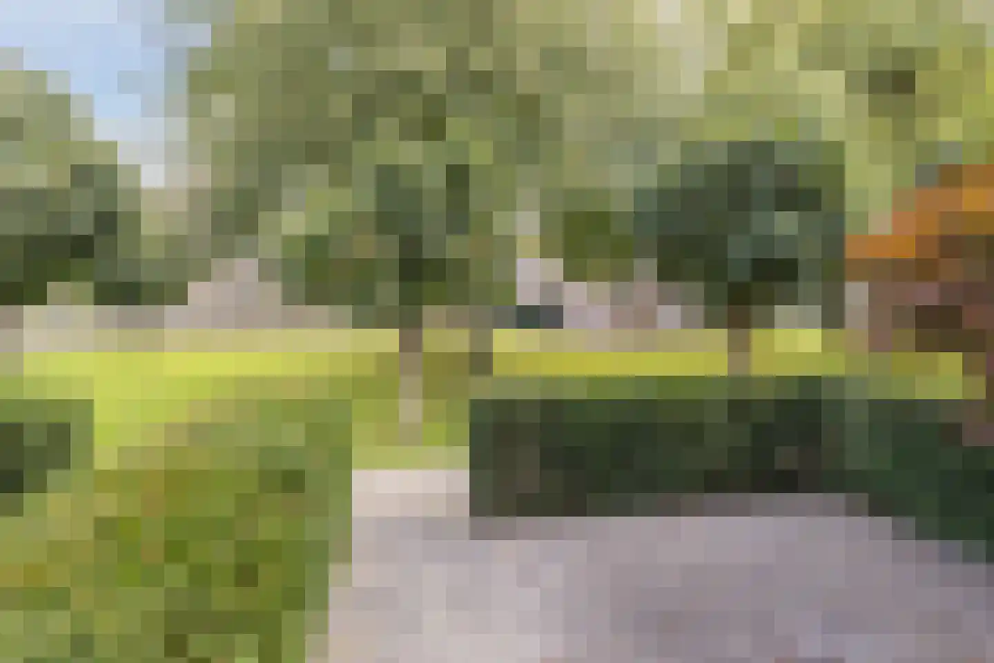Ereprijs 56 Werkendam thumbnail 6