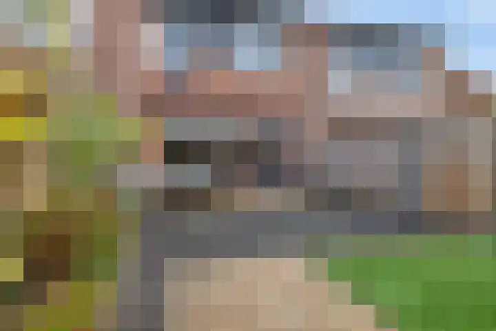 Ereprijs 6 Heerenveen thumbnail 37