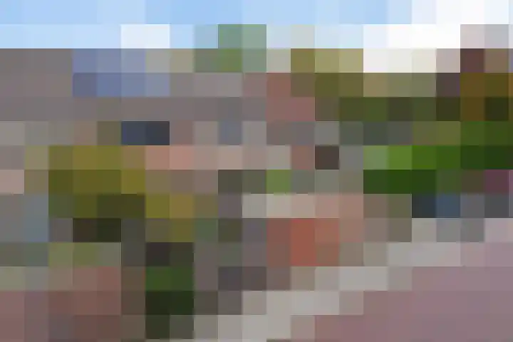 Ereprijs 6 Heerenveen thumbnail 45